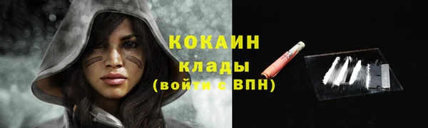 прущие крисы Яровое