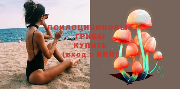 прущие крисы Яровое