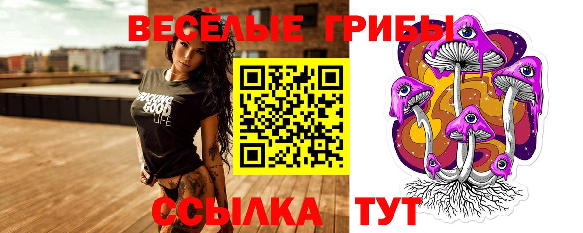 Псилоцибиновые грибы прущие грибы Стерлитамак