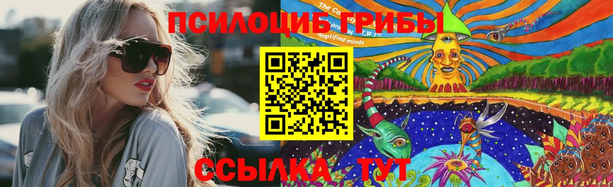 Стерлитамак  Псилоцибиновые грибы прущие грибы  Вход с VPN 